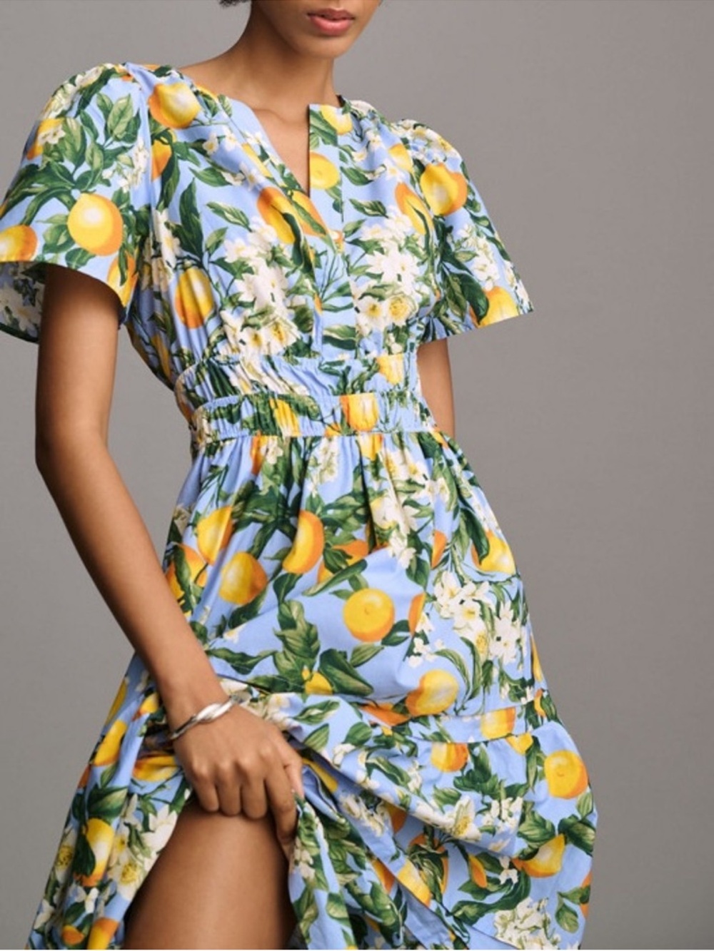 NWT Anthropologie Somerset Lemon Print Wedgewood Maxi Dress - M - Picture 2 of 11